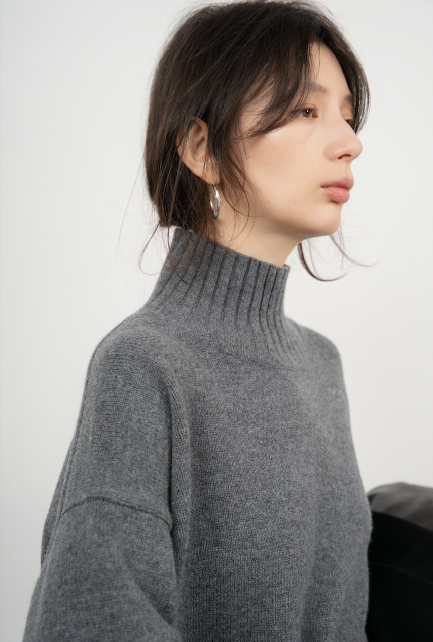 Chunky Wool Turtleneck