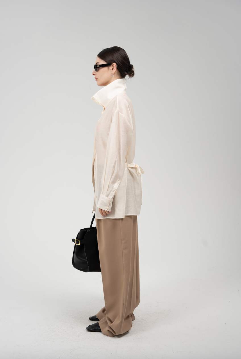 Sheer Blouse