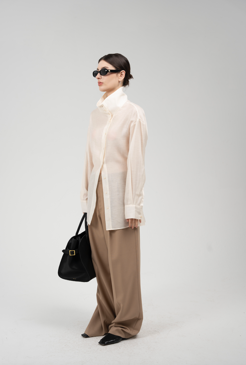 Sheer Blouse